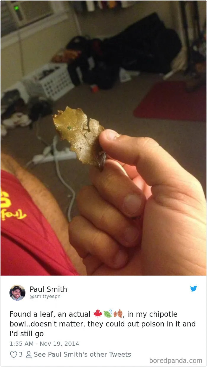 People-Find-Leaves-Food