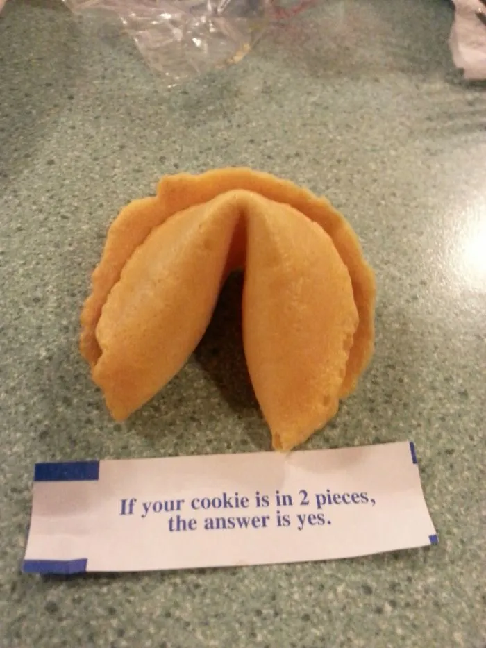 Sassy fortune cookie saying: "If your cookie is in 2 pieces, the answer is yes," on a countertop.