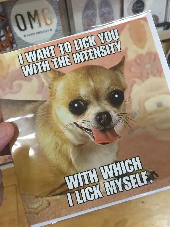 Quiero lamerte con la intensidad con la que me lamo a mi mismo