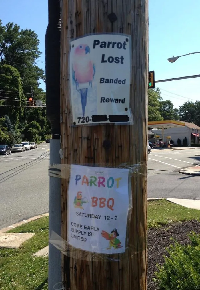 Lost Parrot... Parrot BBQ