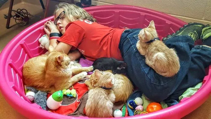 Voluntaria echándose una siesta con gatos