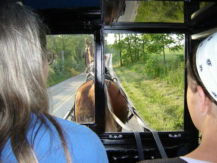 From The Cab Of An Amish Buggy