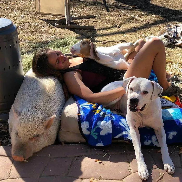 Así es la vida como voluntaria en el refugio