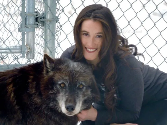 Hace 7 años me violaron y me diagnosticaron Síndrome postraumático. Hace 6 años comencé a trabajar con lobos como terapia. Hoy tengo un santuario para lobos y me he curado más de lo que creía posible
