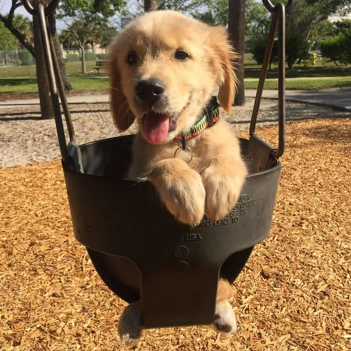Su primera visita al parque
