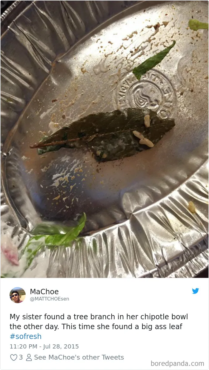 People-Find-Leaves-Food