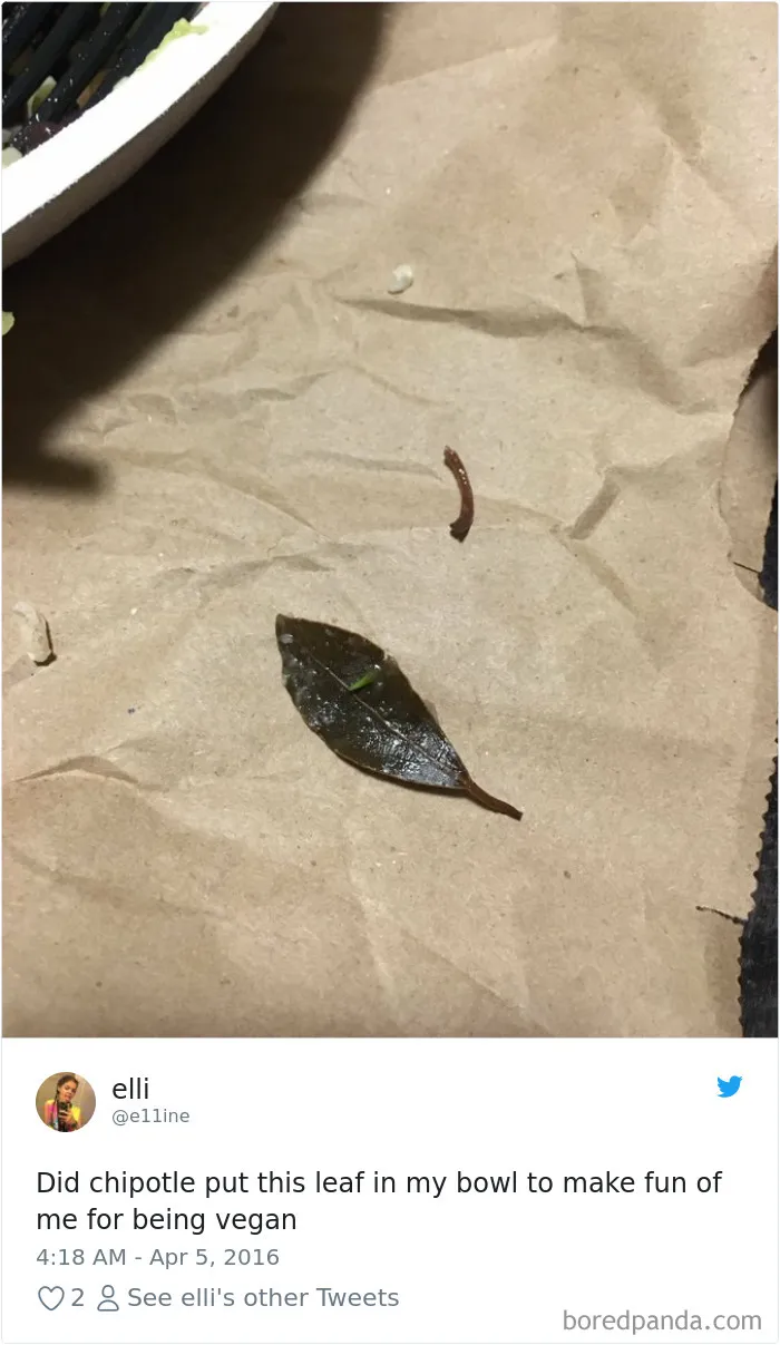 People-Find-Leaves-Food