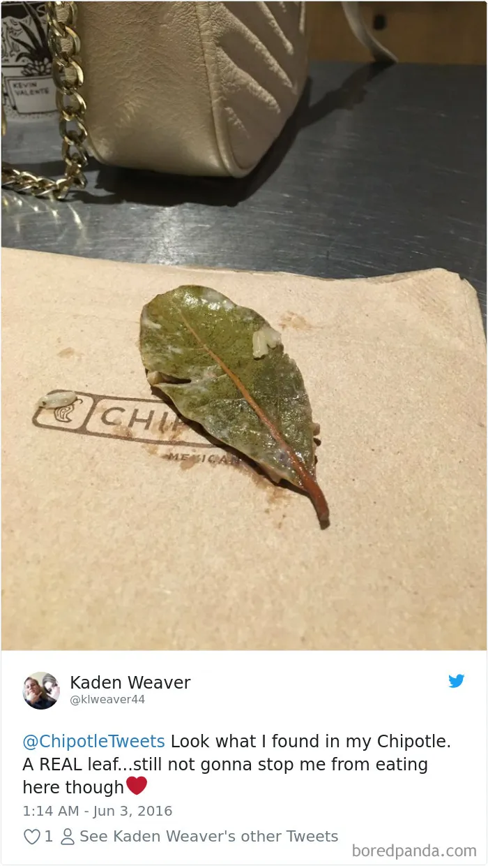 People-Find-Leaves-Food
