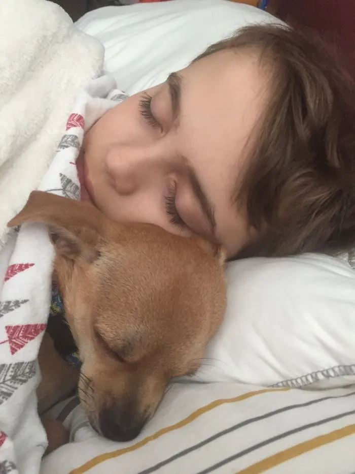 Home From School With The Flu: 🤒 Asked My Son Why The Top Of Our Teacup Chihuahua’s Head Was Wet When They Woke Up From Nap Time. He Said, “I Licked Him. I Wanted To Say ‘I Love You’ In His Language So He Would Really Know.” 🤦‍♀️♥️