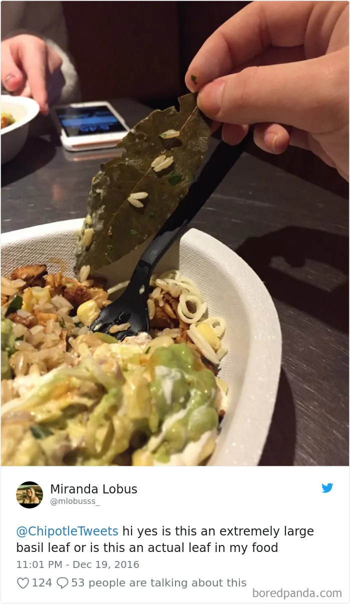 People-Find-Leaves-Food