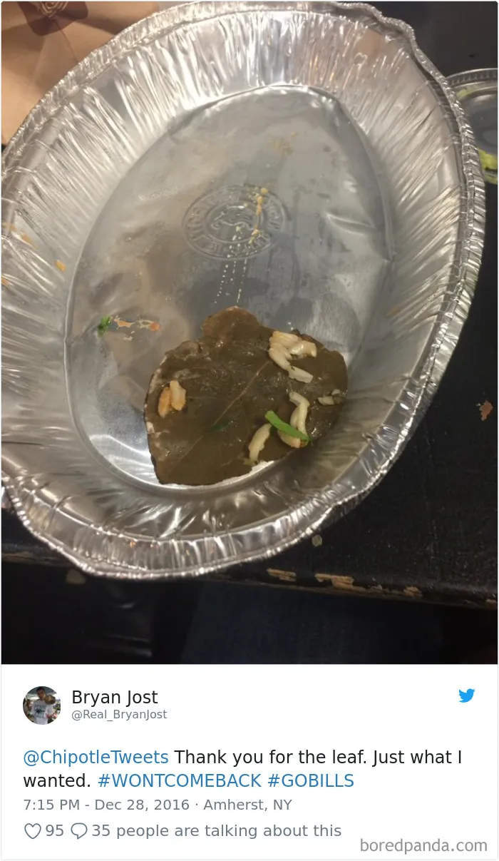 People-Find-Leaves-Food