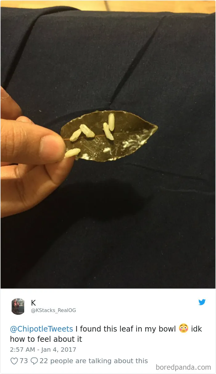 People-Find-Leaves-Food