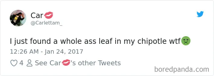 People-Find-Leaves-Food