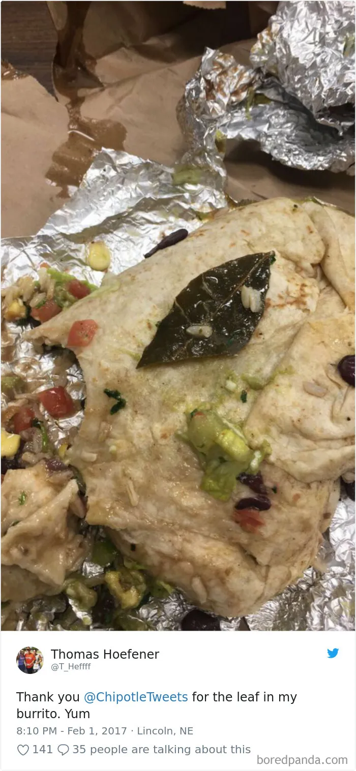 People-Find-Leaves-Food