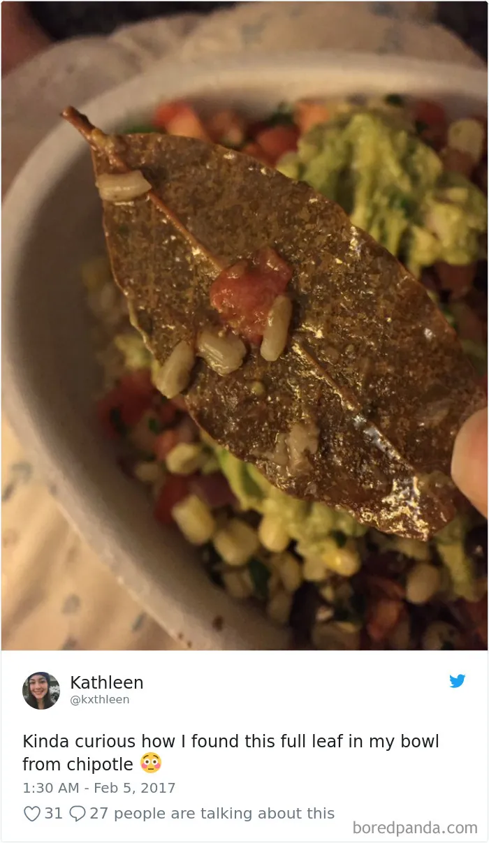 People-Find-Leaves-Food