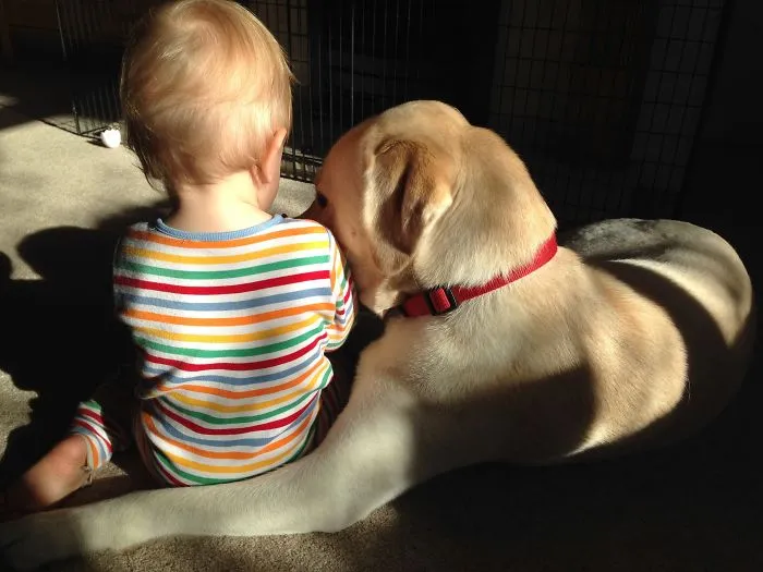 Truce...