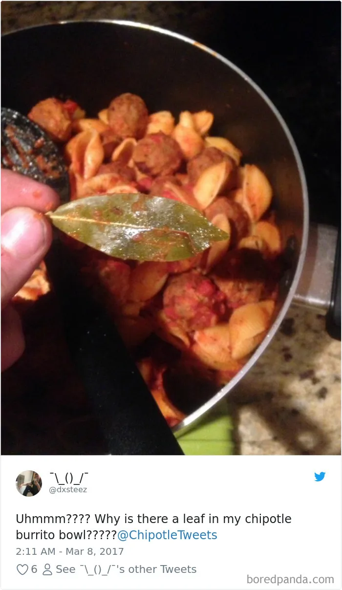 People-Find-Leaves-Food