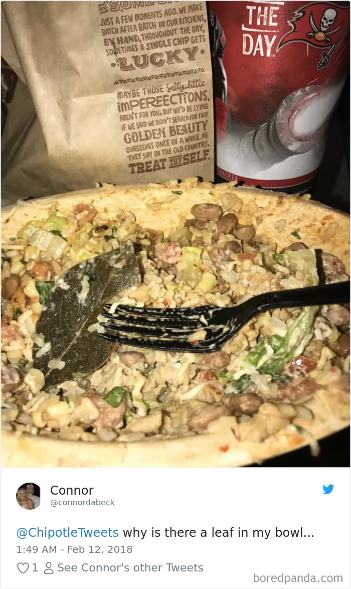 People-Find-Leaves-Food