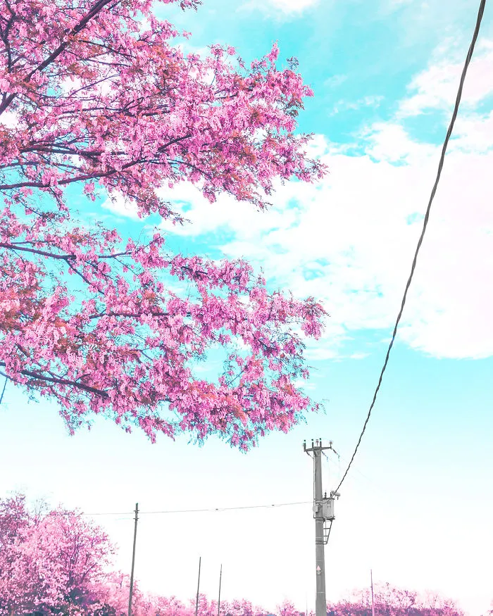 18 Photos Inspired By Japanese Anime