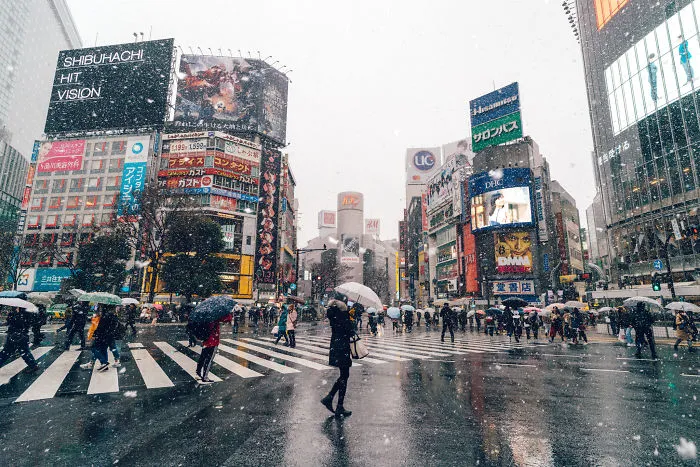 Snowy Shibuya, Tokyo