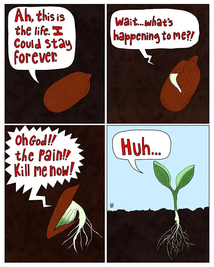 I Make Animal Comics To Cope With Anxiety