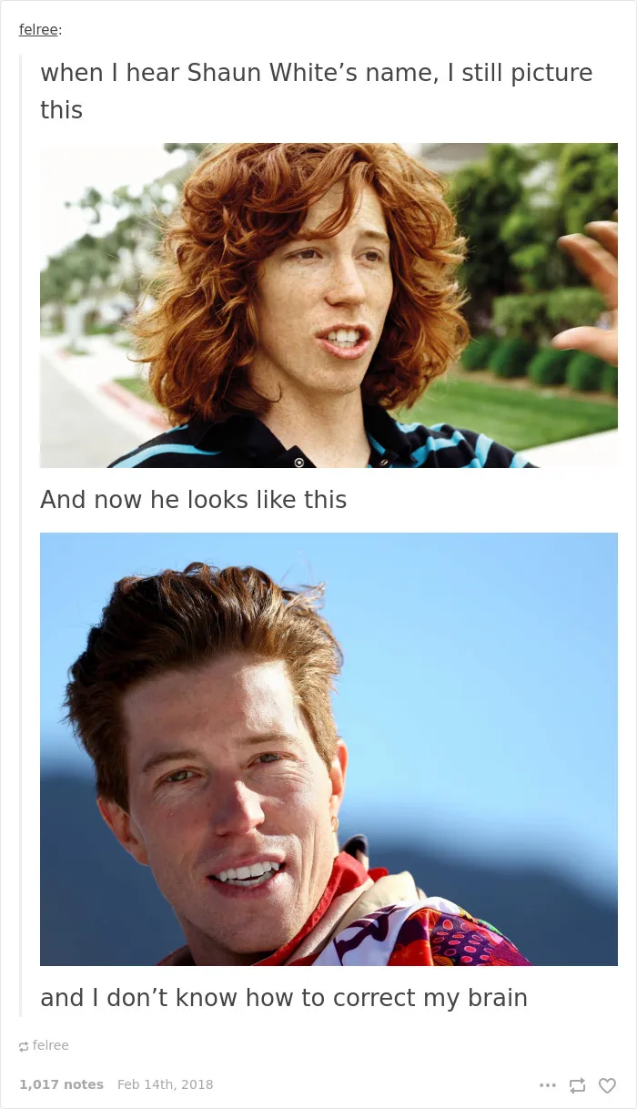 47 Funniest Reactions To The Winter Olympics