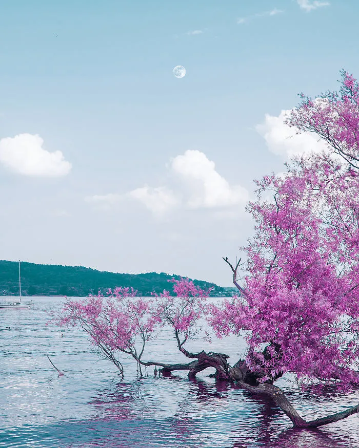 18 Photos Inspired By Japanese Anime