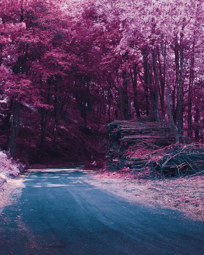 18 Photos Inspired By Japanese Anime