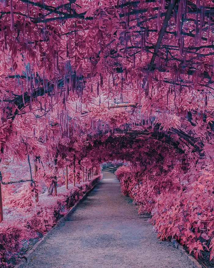 18 Photos Inspired By Japanese Anime