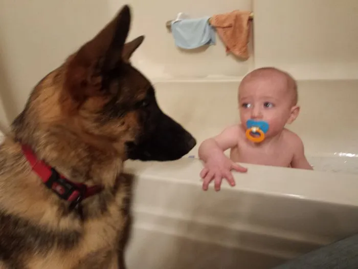 I Have So Many Pics Of These Two, But This One Is My Favorite. She Sleeps In His Room Every Night And Had To Supervise Every Bath Time When He Was A Baby.