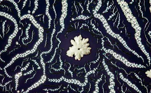I Photograph Common Substances Through A Microscope Using Polarized Light
