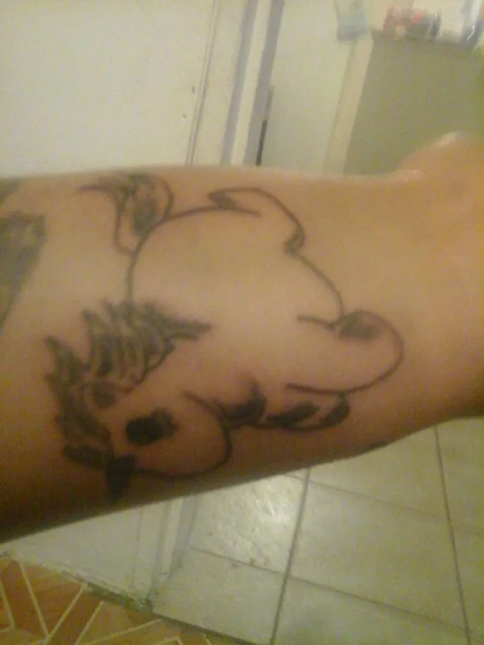 My Fat Unicorn Because I Am Fat, Beautiful And Fabulously Unique... And Probably Imaginary