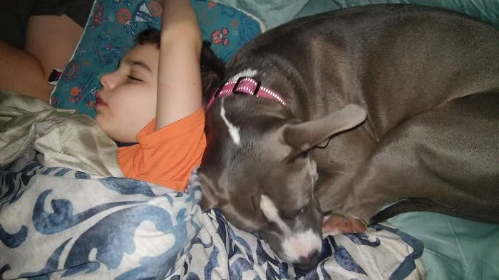 My Two Loves
