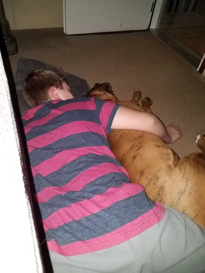 Cuddle Buddies....