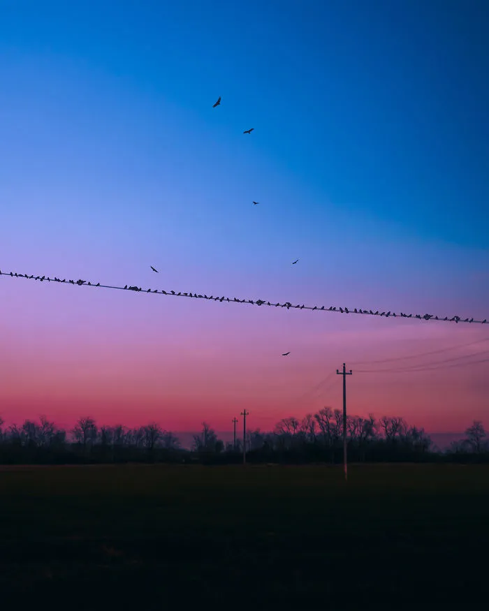 18 Photos Inspired By Japanese Anime