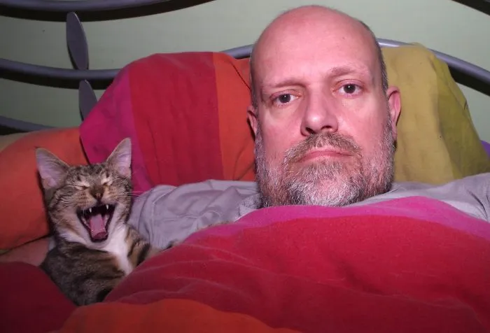Kitten Farting Under The Duvet