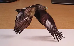 3D Drawings That I Create To Confuse People (Part 4)