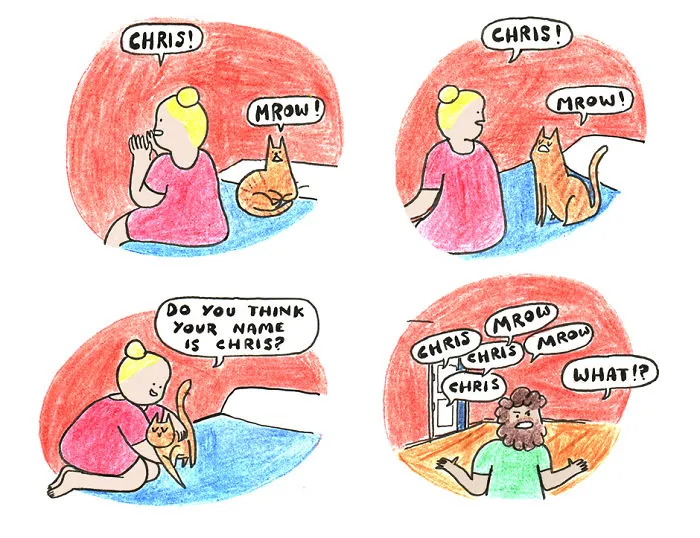 The Confusion