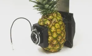 I Use Random Things And Unusual Places To Build Cameras That Can Actually Take Pictures