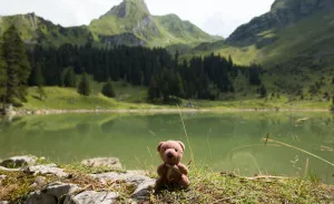 This Little Teddybear Travels Around The World And Sees The Most Beautiful Places