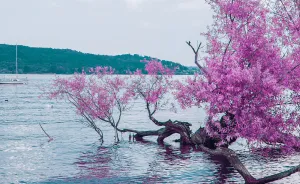 18 Photos Inspired By Japanese Anime