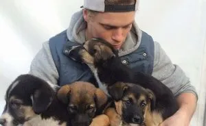 US Olympic Skier Gus Kenworthy Rescued 90 Dogs From Korean Dog Meat Farm