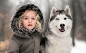 A Girl And Her Husky