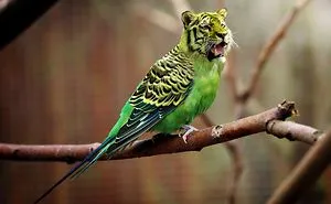 Most Eye Catching Funny Images That Will Make You Look Again