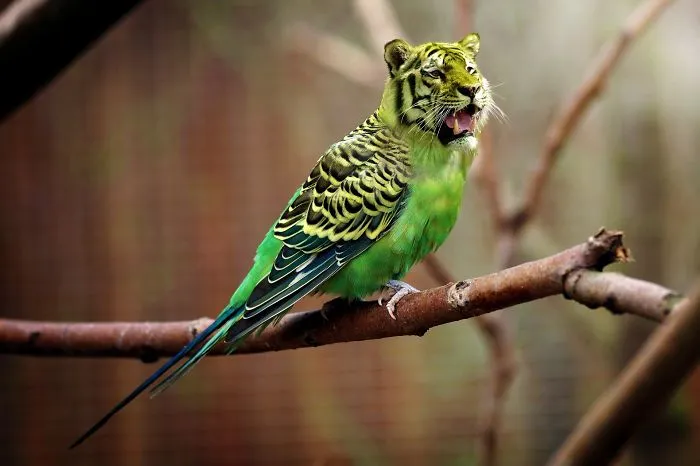 Most Eye Catching Funny Images That Will Make You Look Again