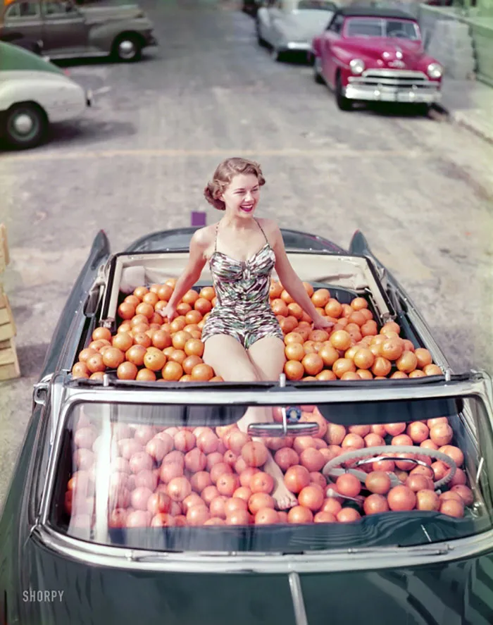 Naranjas frescas, 1951
