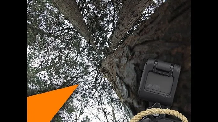 I Tied My Gopro To A Tree In The Forest, I Put The Bait And Waited. What Happened After... Wow
