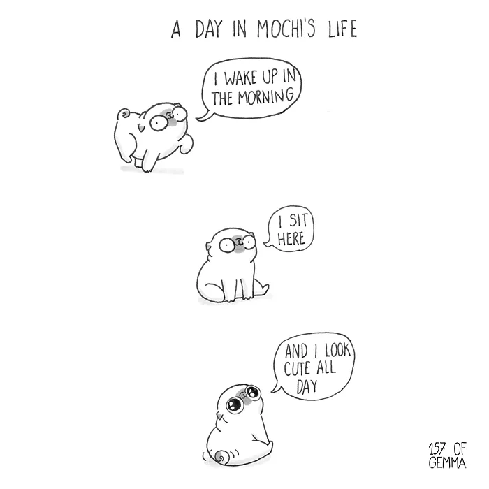 88 Adorable Comics That Hilariously Sum Up What It’s Like Living With A Dog (New Pics)