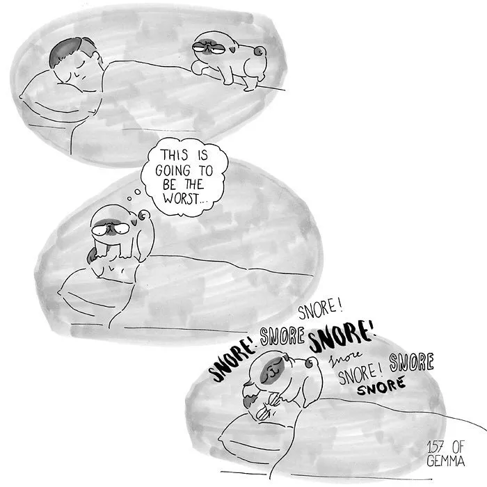 88 Adorable Comics That Hilariously Sum Up What It’s Like Living With A Dog (New Pics)