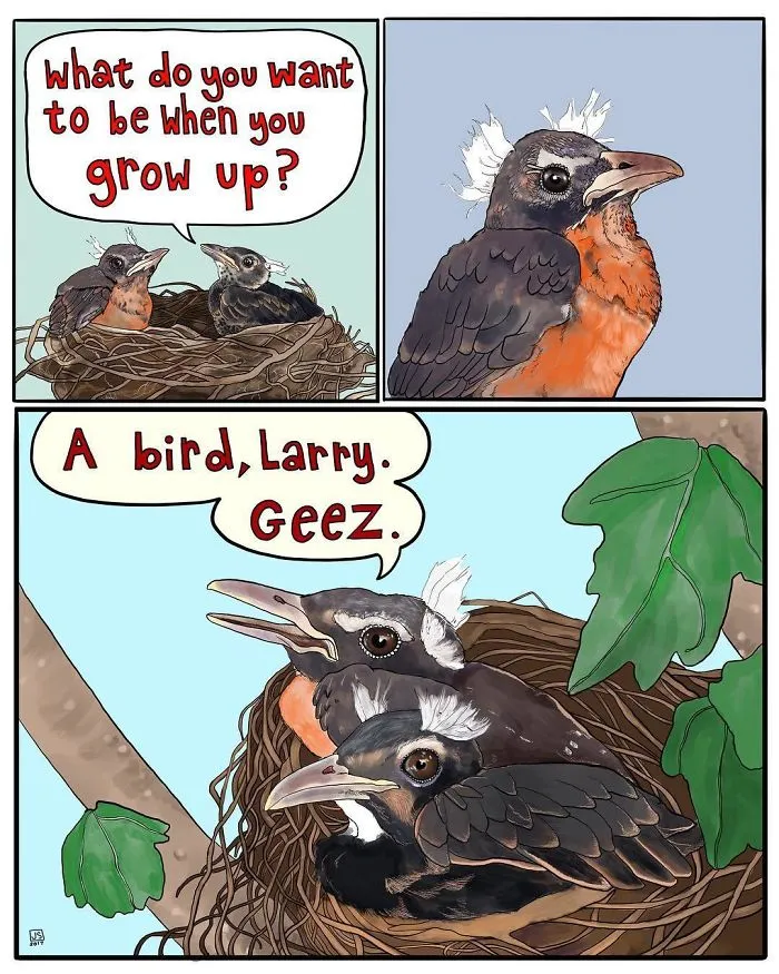 I Make Animal Comics To Cope With Anxiety